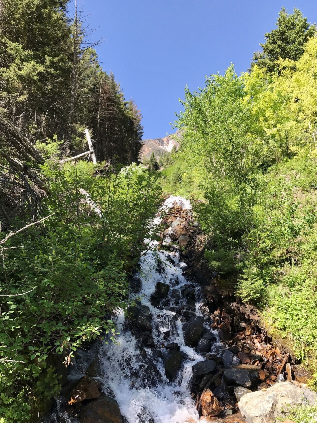 Cascade on property